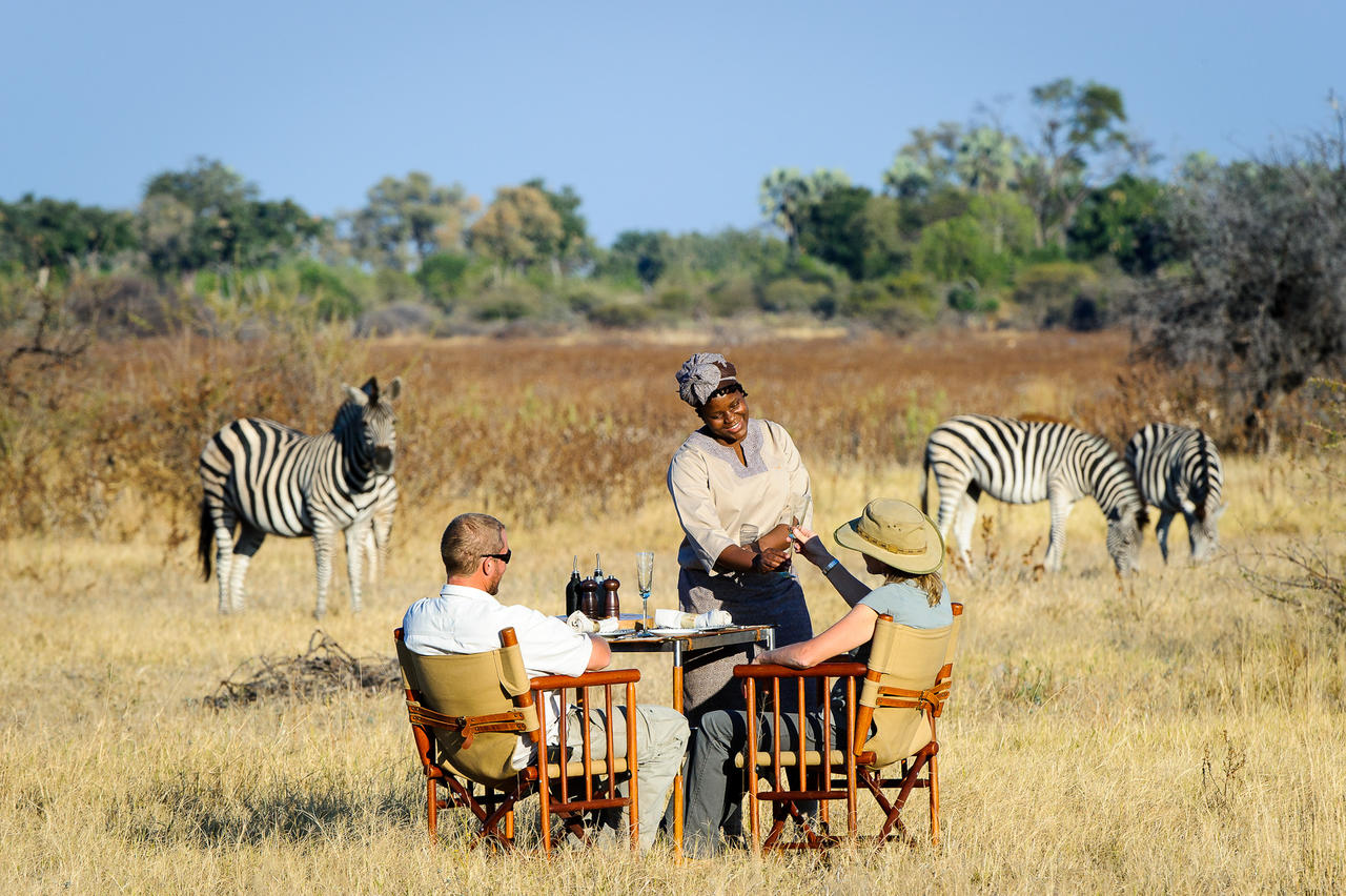Tourism Company Plans Bid For Botswana s National Airline In 